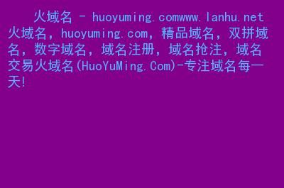 中文抢注域名（中文抢注域名网站）-图3