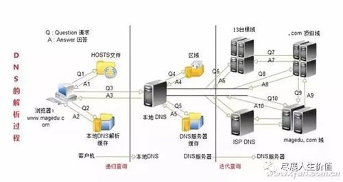 平台网服务器（平台服务器ip）-图3