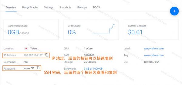 vultr的端口怎么看（vultr查看端口）-图2