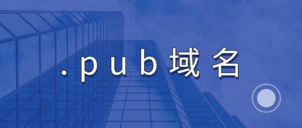 域名注册pub（域名注册公司）-图2