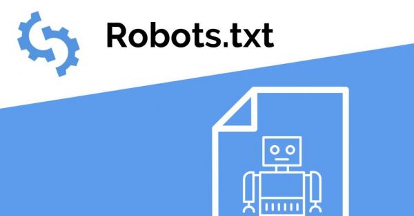 robots.txt在哪里的简单介绍-图1