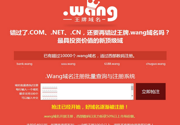 wang未注册域名（未注册域名批量在线查询）-图1