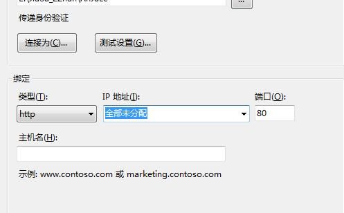 iis指定域名（域名指定ip）-图2