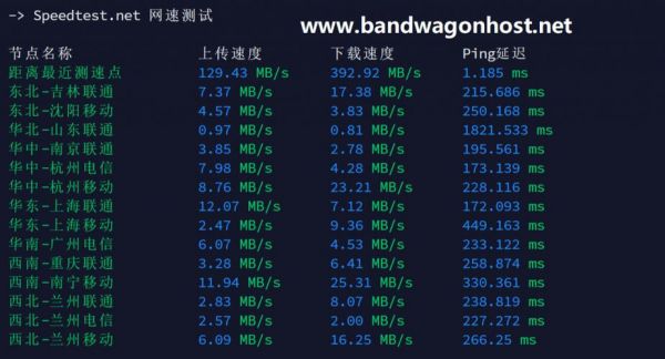 搬瓦工怎么测速度慢（搬瓦工cn2速度）-图2