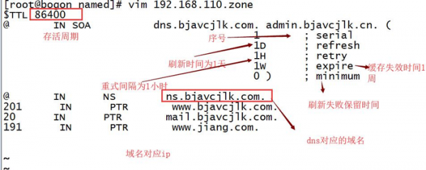 1d域名的简单介绍-图3