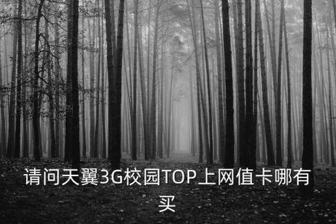 湘大租房电信top网在哪里买（湘大南门租房）-图2