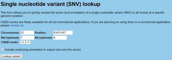 域名可的variant（域名 csdn）-图1