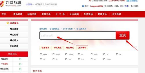 怎么查域名能否注册（如何查域名是否注册）-图2