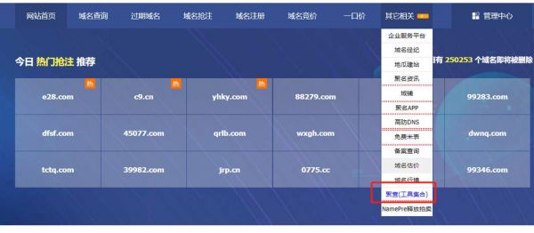 怎么批量查询域名（怎么批量查询域名信息）-图1