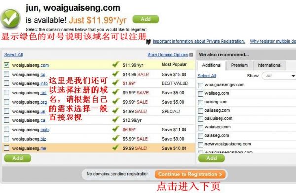 godaddy买域名教程（godaddy\域名注册好）-图2