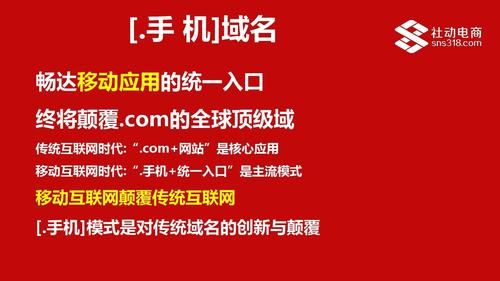 手机域名价格查询（手机域名价格查询）-图2