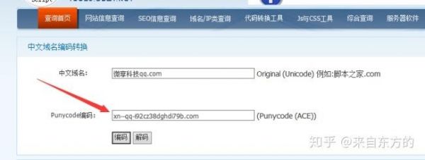中文域名怎么解析（中文域名怎么解析成英文）-图2
