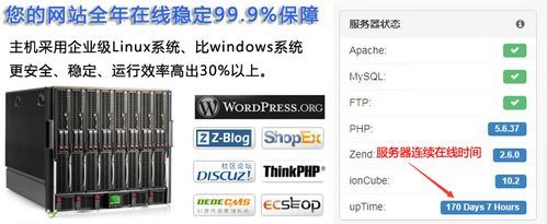 香港主机国内mysql速度怎么样（香港windows主机）-图3