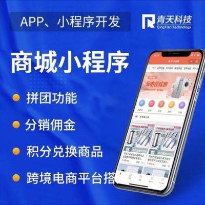 温州市小程序开发哪里有（温州小程序分销商城）-图2