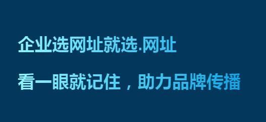 中文域名被删除（中文域名被骗怎么办）-图3