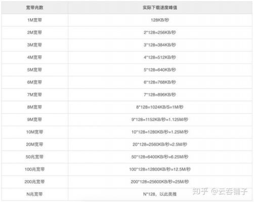 服务器标准带宽（服务器带宽最高是多少）-图1