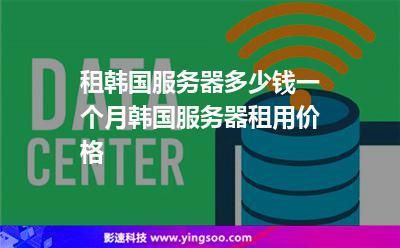 租服务器ipv6（租服务器一个月多少钱）-图2