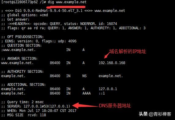 dns服务器租（dns1服务器）-图2