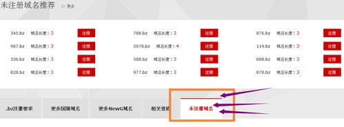 bz域名（bz域名意义）-图2