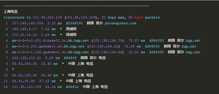 用vps上网网警怎么查到本地ip（vps查看记录）-图3