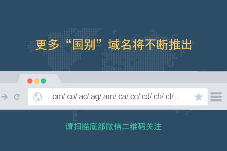 国别域名是什么意思（国别是指什么）-图3