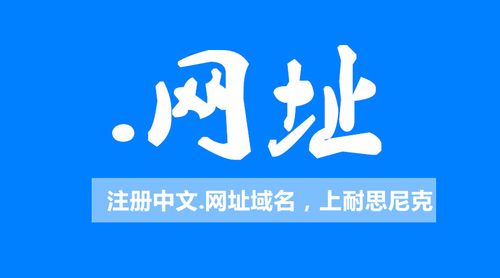 中文域名.公司（中文域名 中国）-图1