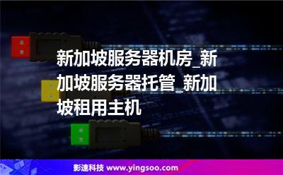 新加坡托管服务器（新加坡课后托管）-图3