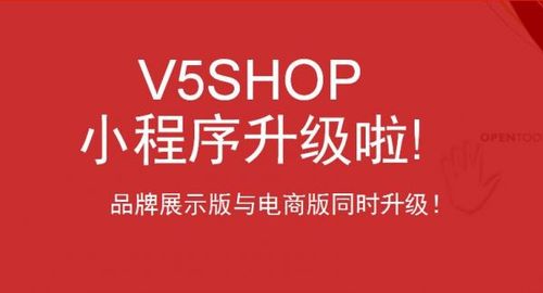 v5shop怎么样的简单介绍-图1