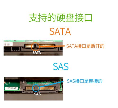 服务器sas硬盘接口怎么看（sas接口硬盘端口定义）-图3