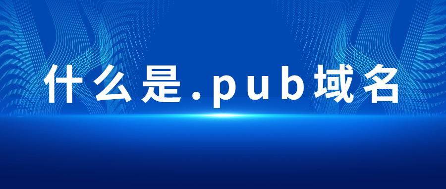 .pub是什么域名（pub域名怎么样）-图3