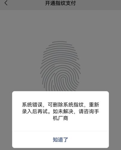 华为手机微信指纹支付（华为手机微信指纹支付无法使用）-图1