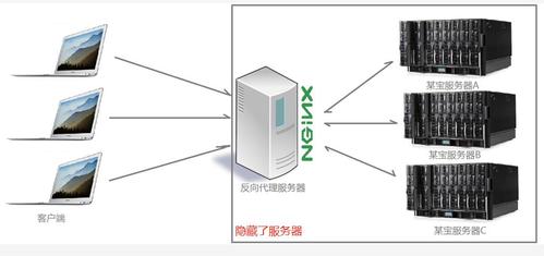 nginx服务器租用（nginx server）-图2