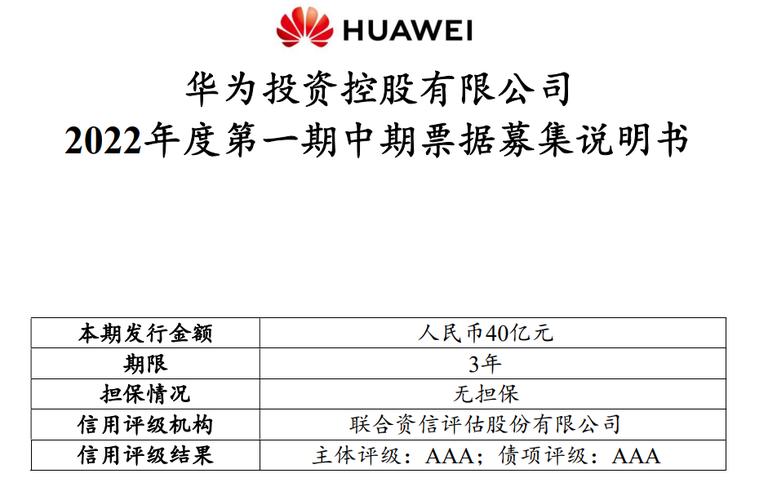 华为融资方式（华为融资方式是什么）-图3