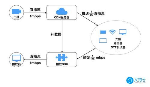 怎么搭建cdn（怎么搭建虚拟直播间）-图2