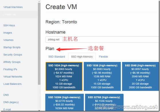 vps主机名怎么填（vps hostname）-图1