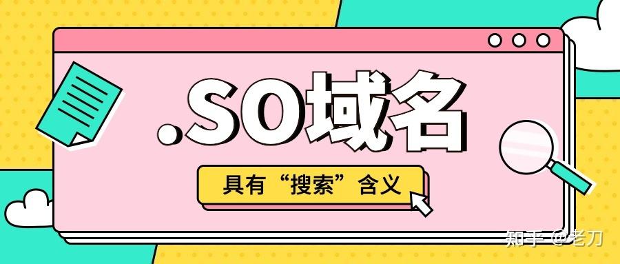 .so域名注册（sg域名注册）-图3