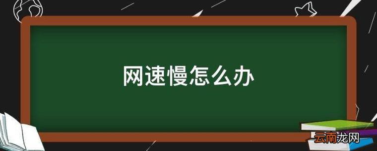 在国外网慢怎么办（在国外网速太慢怎么办）-图1