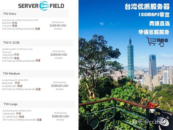 台湾那家服务器好（台湾服务器英文）-图3