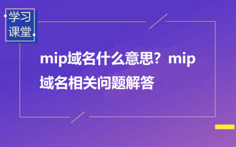 怎么看是不是域名（怎么知道域名是mip域名）-图1