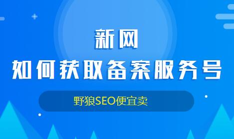 新网域名备案（新网域名备案服务号）-图2