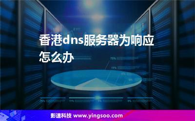 香港dns服务器（香港dns地址）-图3