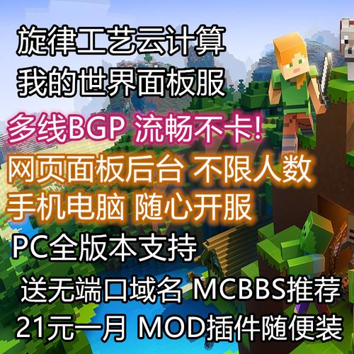 mc租什么服务器（mc租服务器有什么用）-图3