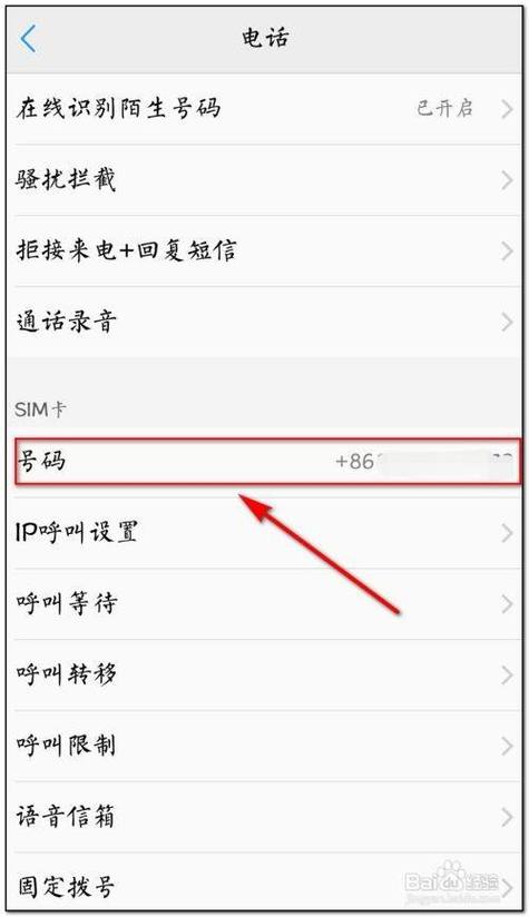 怎么用拨号vps（怎么用拨号键查电话号码）-图3