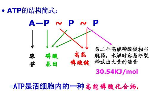 atp攻击怎么防御（atp超速防护的速度限制有哪些）-图3