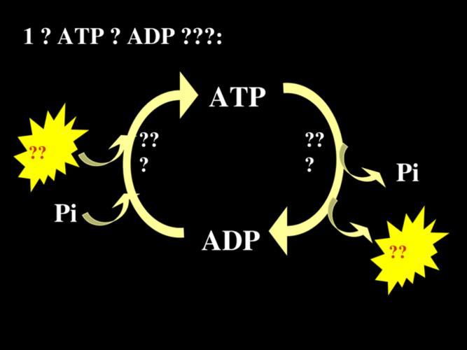 atp攻击怎么防御（atp超速防护的速度限制有哪些）-图1