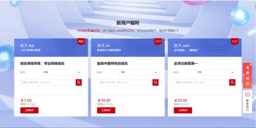 个人域名1元（个人域名价格）-图3