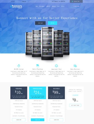 服务器租用网站模板（服务器租用网站模板下载）-图3