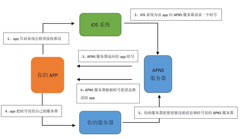 app与服务器（app与服务器对接）-图1