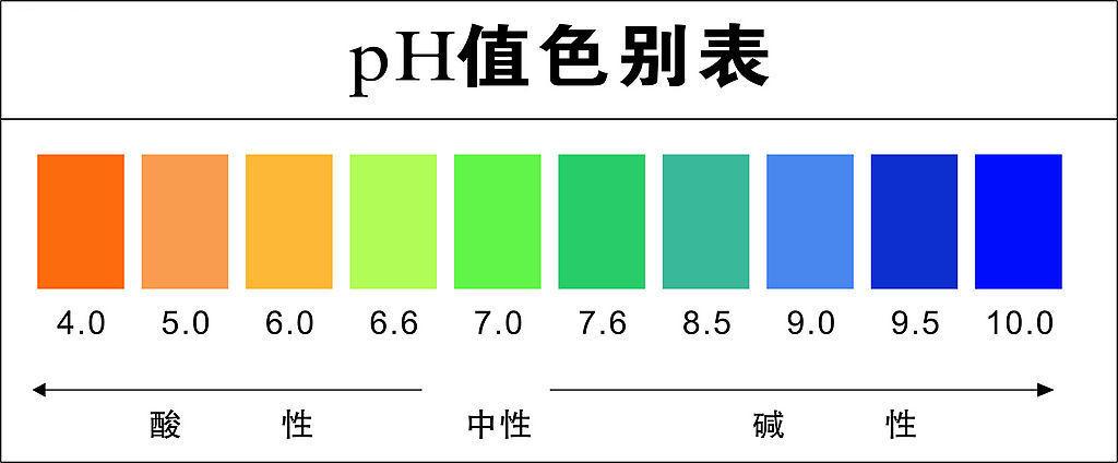 ph域名（ph域名哪个国家）-图1