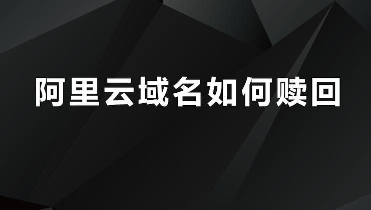 域名赎回期怎么赎回（域名除了赎回还有什么办法）-图3